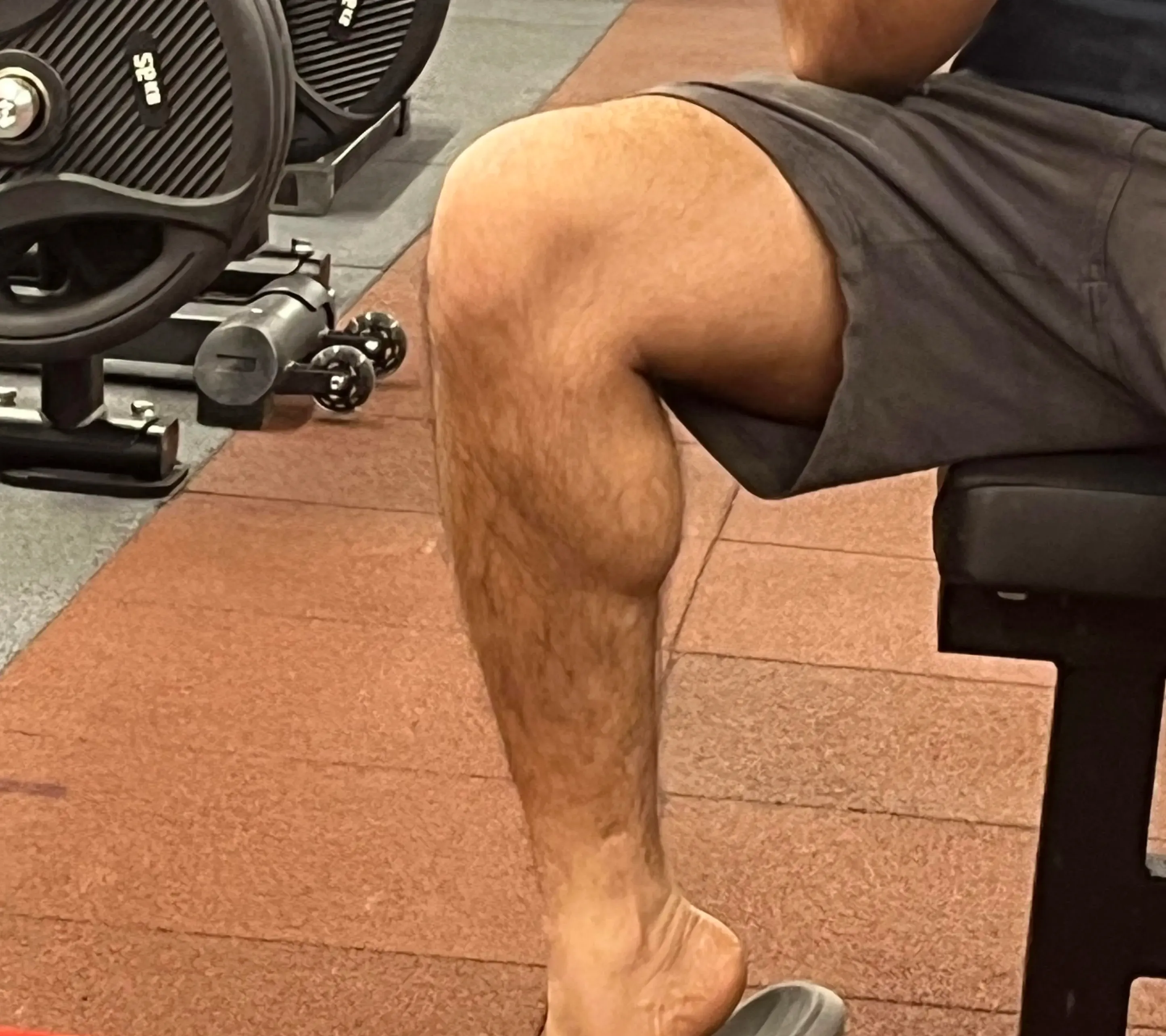 calf raise