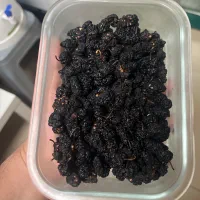 These dried mulberries are so addictive!