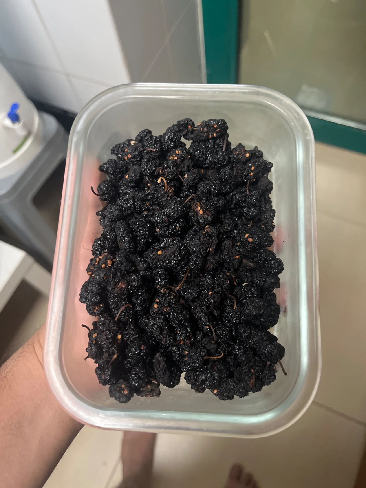 These dried mulberries are so addictive!